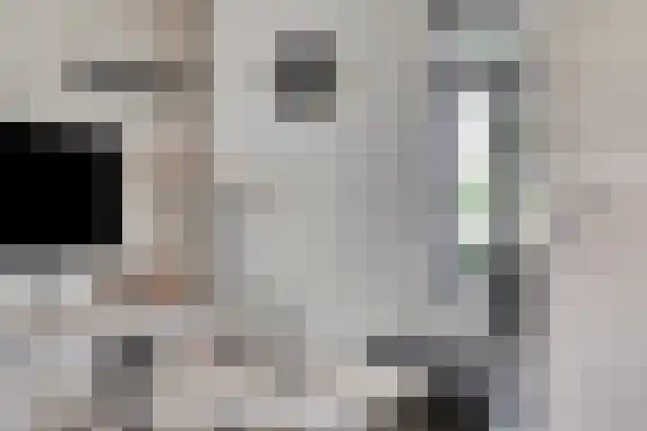Numitorhof 52 Maastricht thumbnail 8