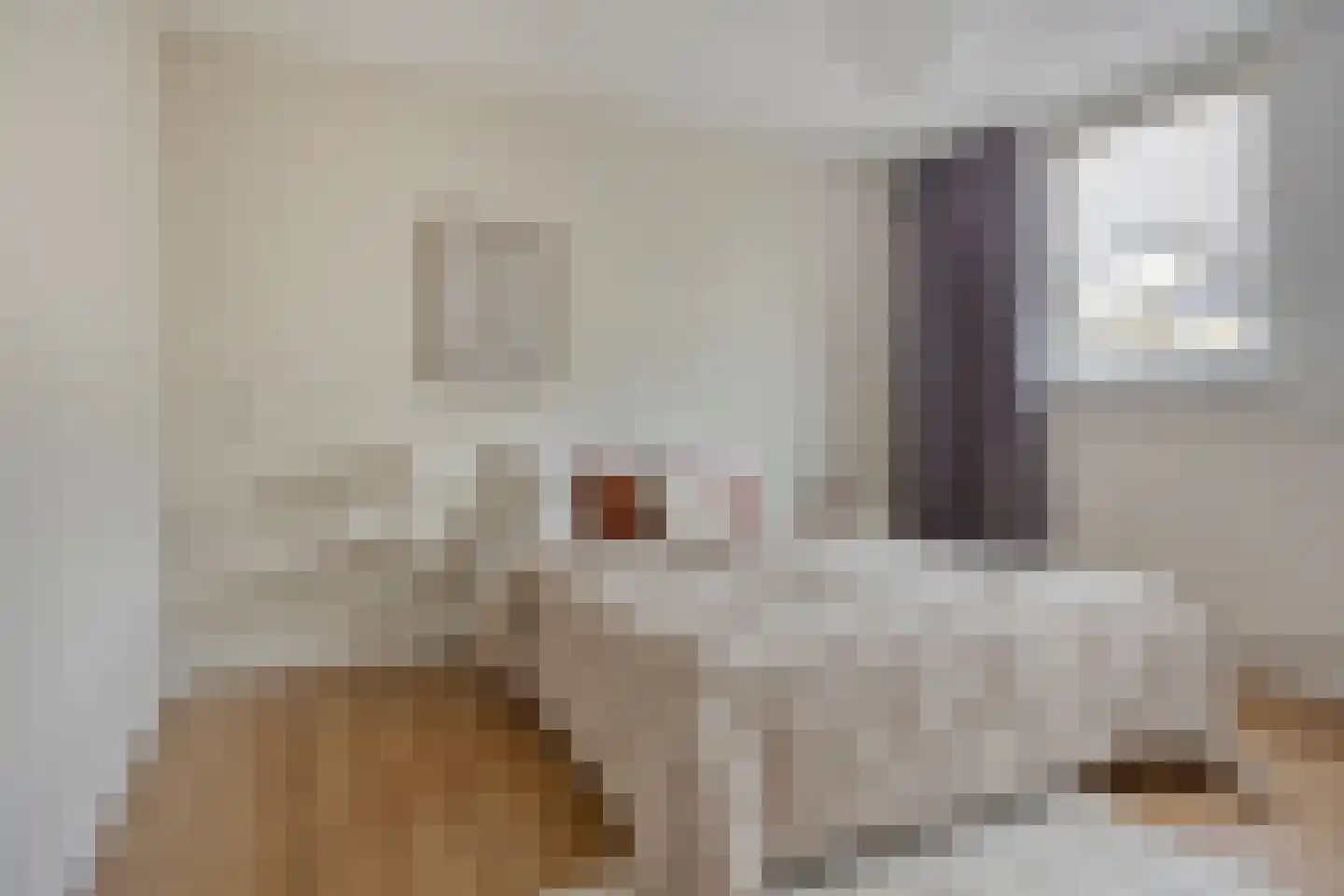 Numitorhof 54 Maastricht thumbnail 23