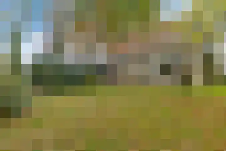 Nummer 19 Dijken thumbnail 10
