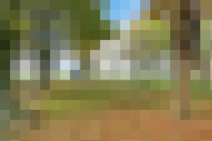 Nummer 19 Dijken thumbnail 12