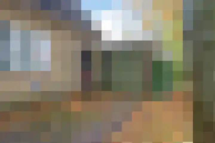 Nummer 19 Dijken thumbnail 14
