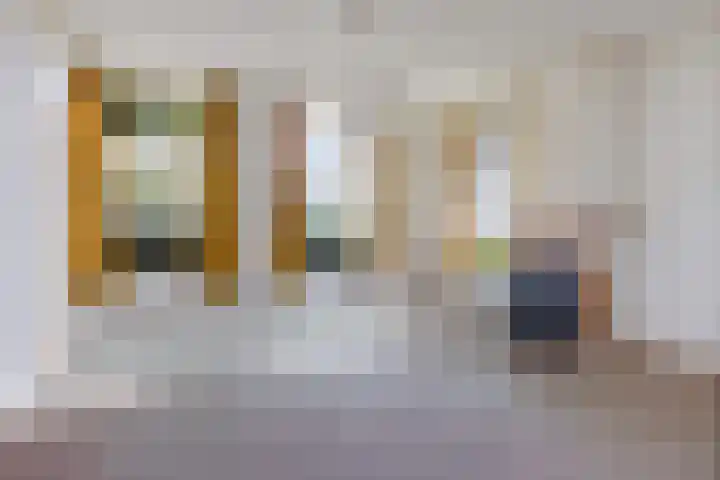 Nummer 19 Dijken thumbnail 15