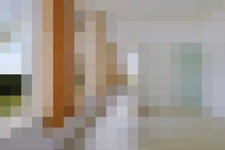 Nummer 19 Dijken thumbnail 16