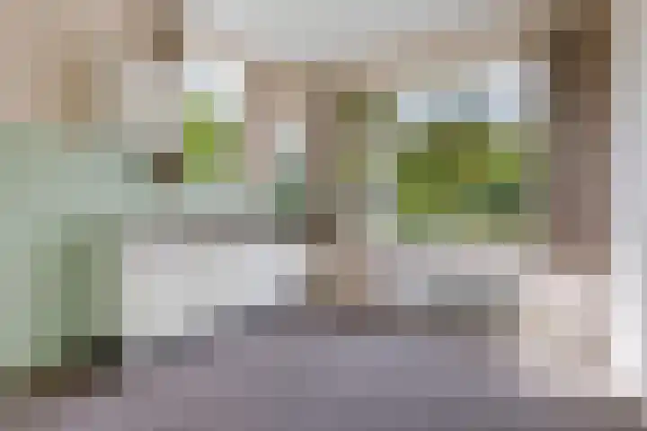Nummer 19 Dijken thumbnail 18