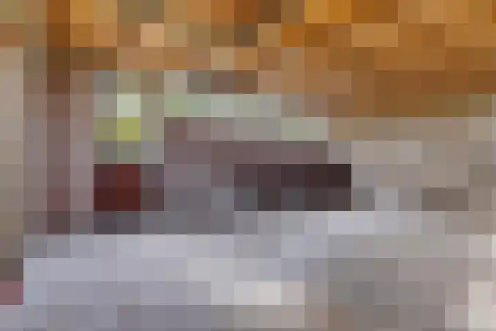 Nummer 19 Dijken thumbnail 21