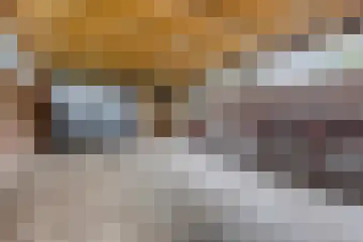 Nummer 19 Dijken thumbnail 22