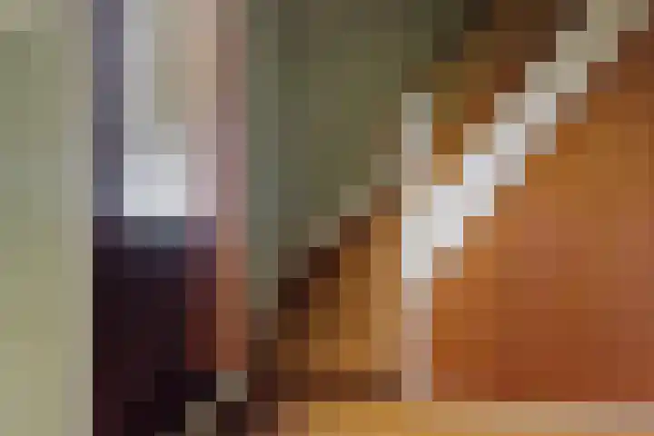 Nummer 19 Dijken thumbnail 23