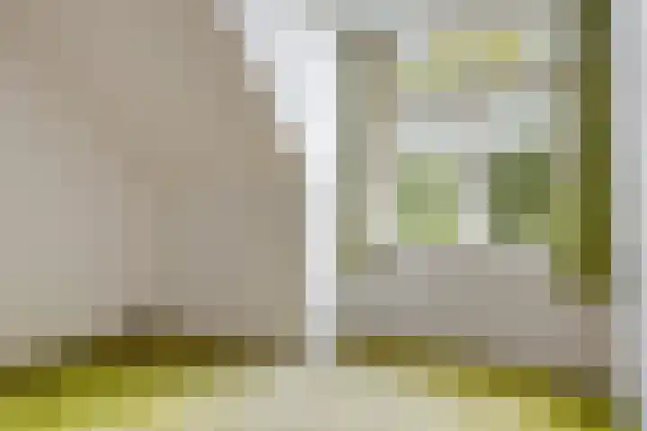 Nummer 19 Dijken thumbnail 27