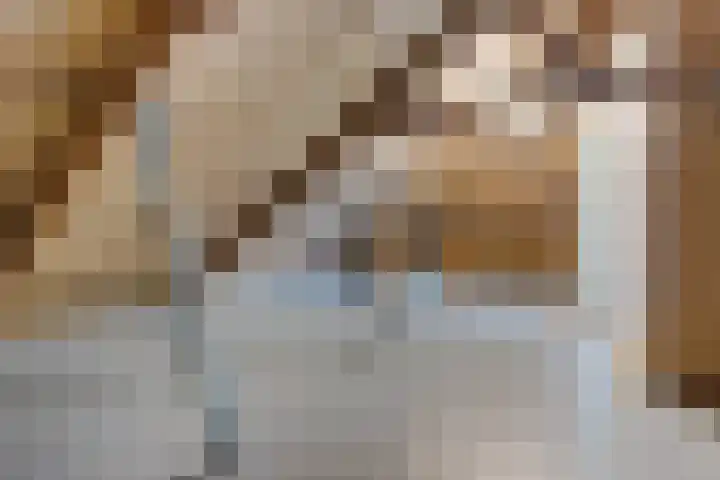 Nummer 19 Dijken thumbnail 29