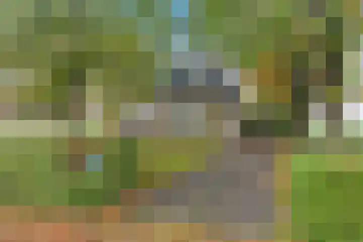 Nummer 19 Dijken foto 3
