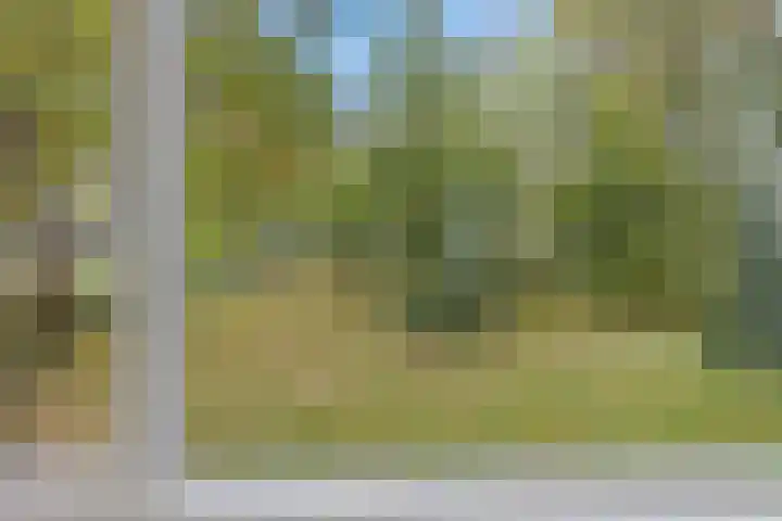 Nummer 19 Dijken thumbnail 33