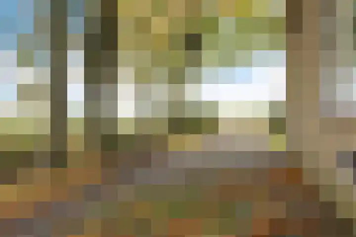 Nummer 19 Dijken thumbnail 36