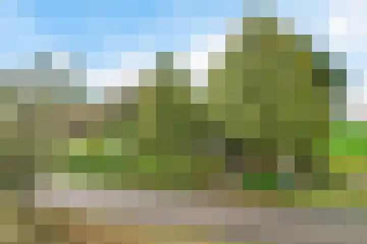 Nummer 19 Dijken thumbnail 37