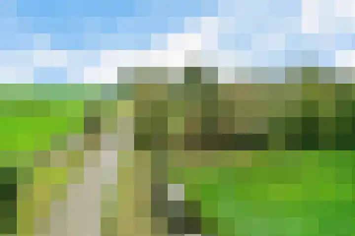 Nummer 19 Dijken thumbnail 38