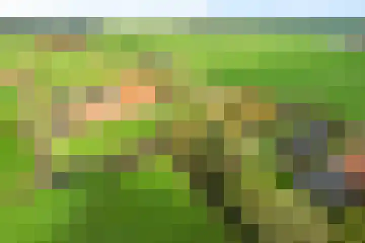 Nummer 19 Dijken thumbnail 39