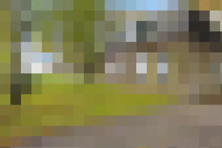 Nummer 19 Dijken thumbnail 4