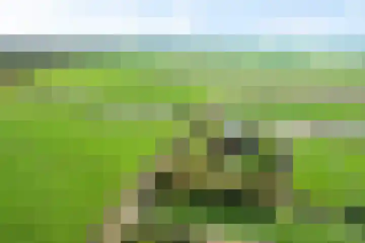 Nummer 19 Dijken thumbnail 40