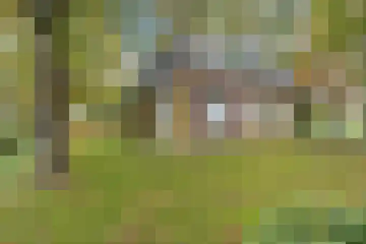 Nummer 19 Dijken thumbnail 5