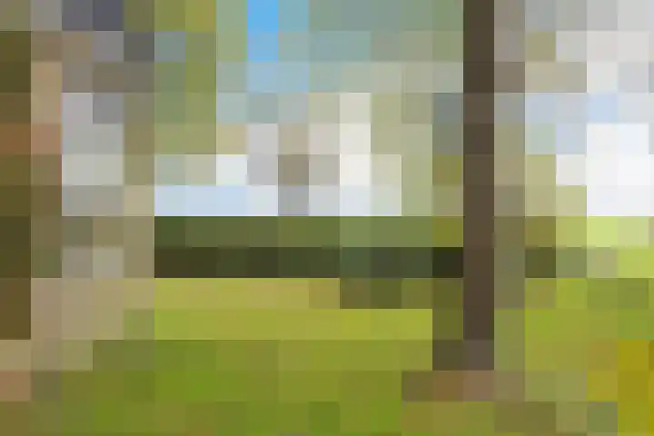 Nummer 19 Dijken thumbnail 6