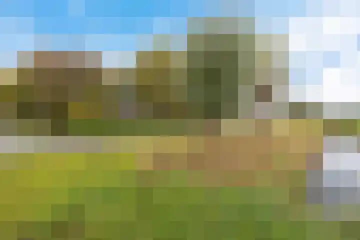 Nummer 19 Dijken thumbnail 7