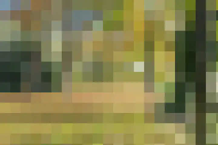 Nummer 19 Dijken thumbnail 8