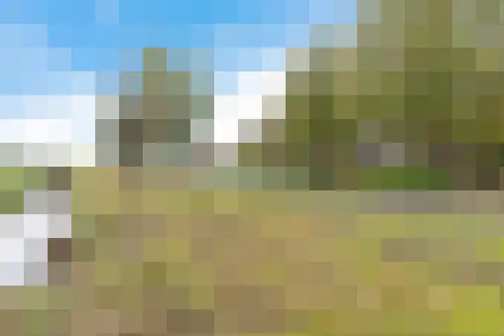 Nummer 19 Dijken thumbnail 9