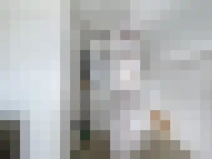 Nummer Eén 14 Hoofdplaat thumbnail 12