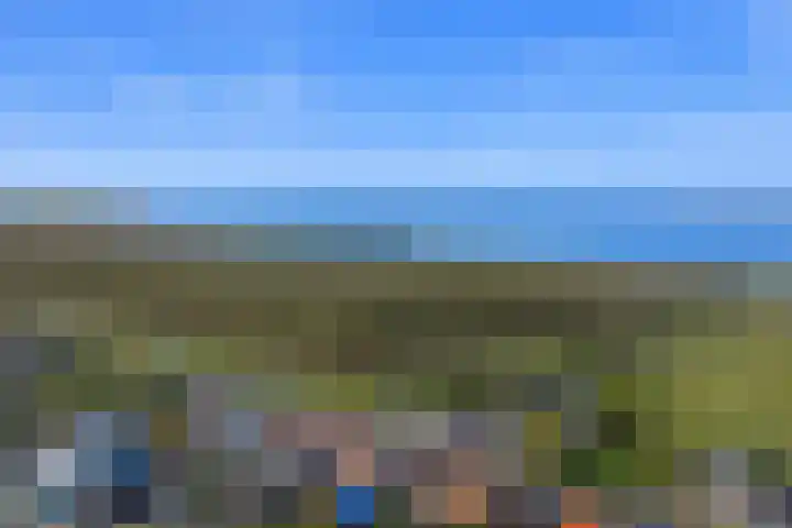 Nummer Eén 14 Hoofdplaat thumbnail 19