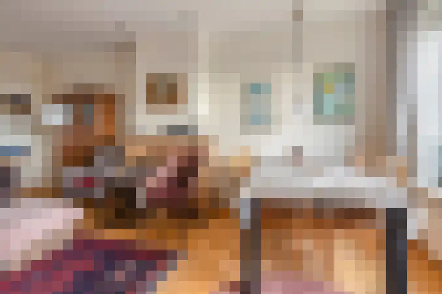 Nummer Eén 51 Hoofdplaat thumbnail 7