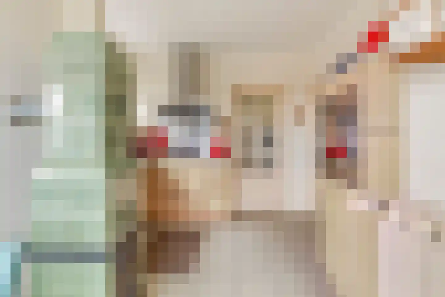 Nummer Eén 51 Hoofdplaat thumbnail 8
