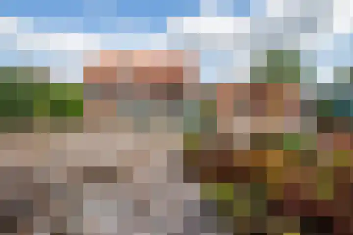 Nunhemseweg 41 Haelen thumbnail 5