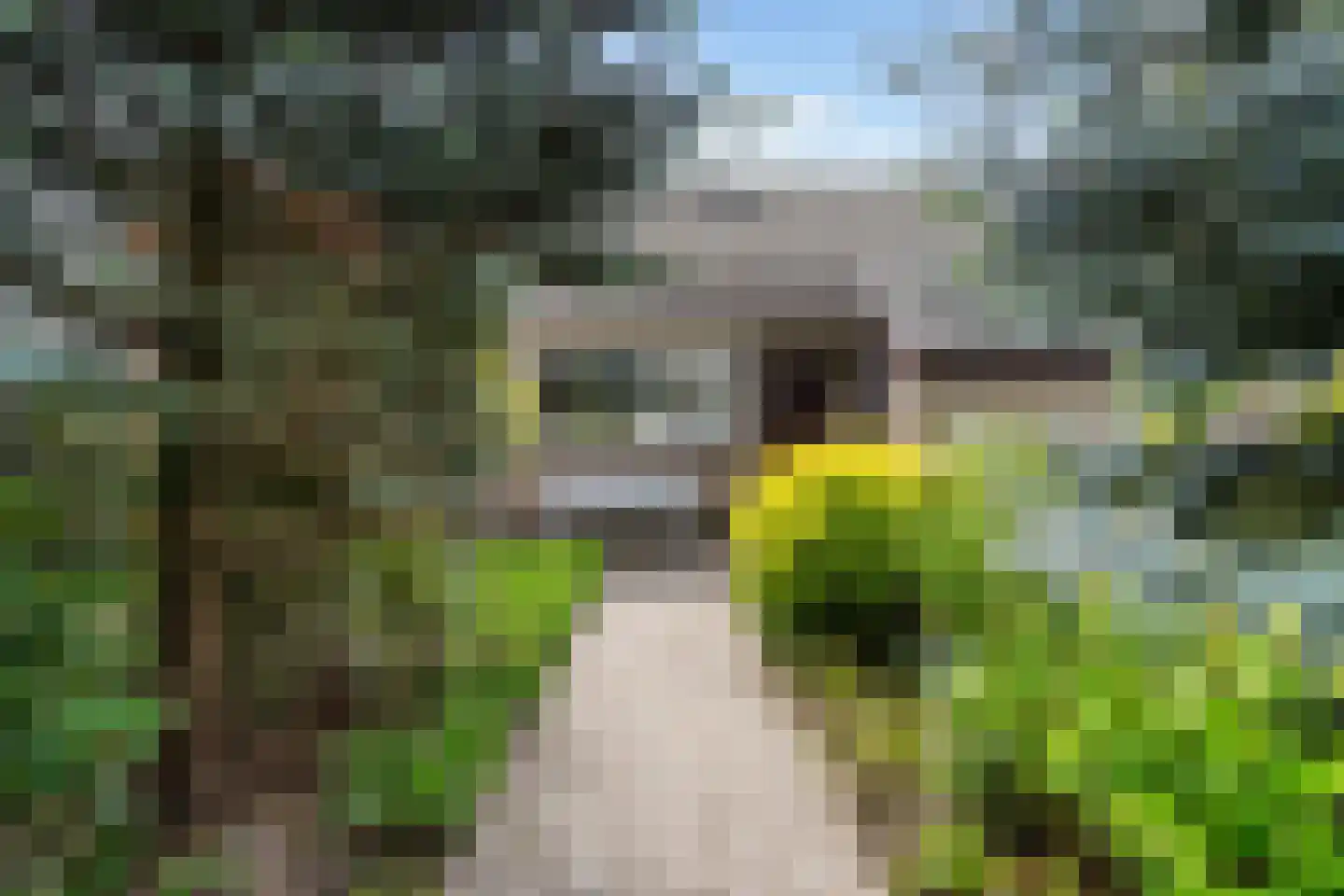 Nunhemstraat 19 Weert thumbnail 6
