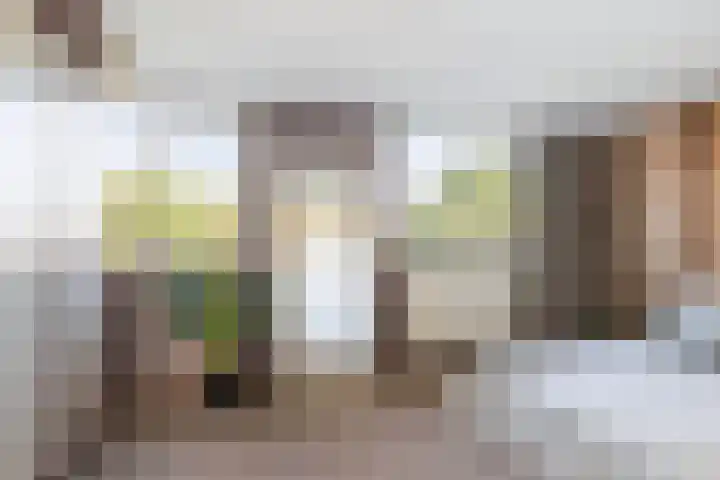 Nunspeethoeve 24 Vlaardingen thumbnail 20