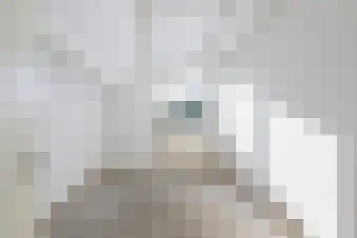 Nunspeethoeve 24 Vlaardingen thumbnail 35