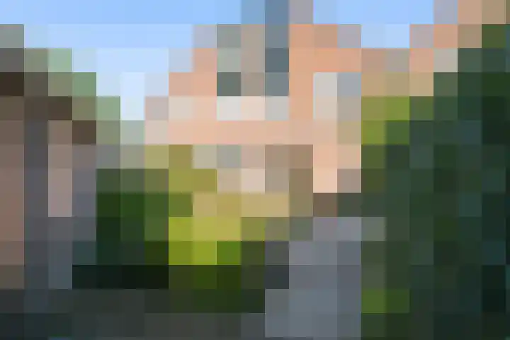 Nunspeethoeve 24 Vlaardingen thumbnail 37