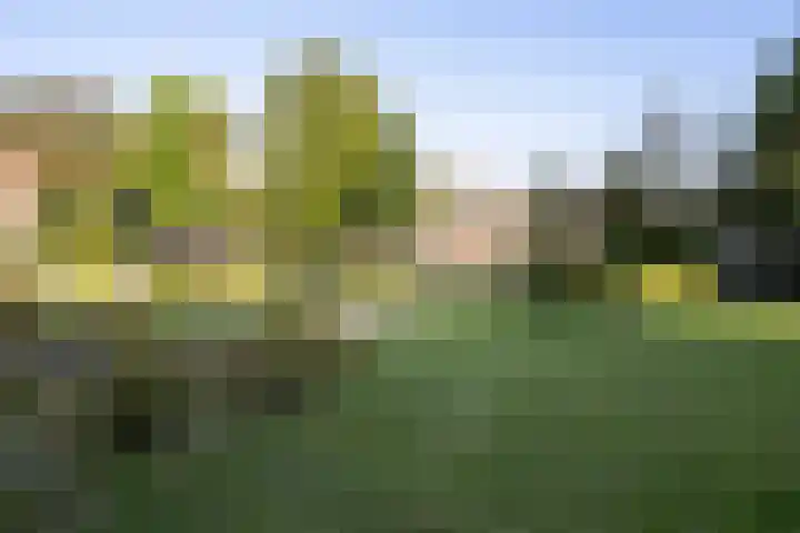 Nunspeethoeve 24 Vlaardingen thumbnail 39
