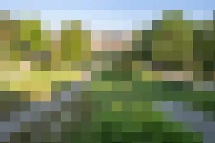 Nunspeethoeve 24 Vlaardingen thumbnail 40