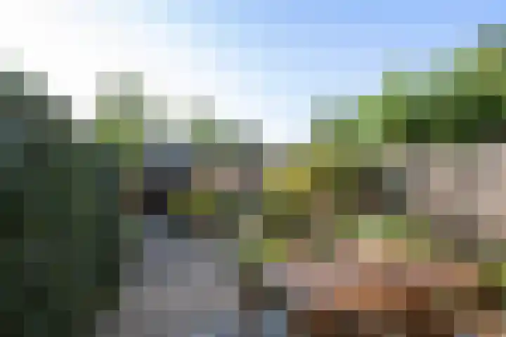 Nunspeethoeve 24 Vlaardingen thumbnail 5
