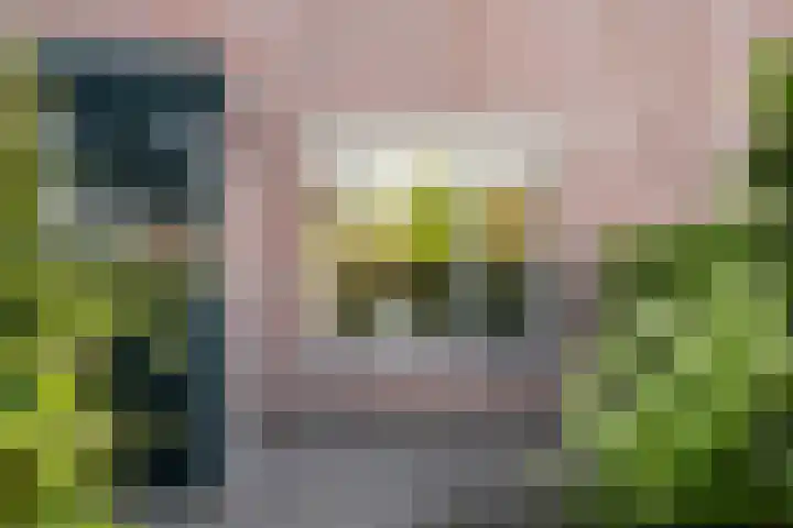 Nunspeethoeve 24 Vlaardingen thumbnail 8