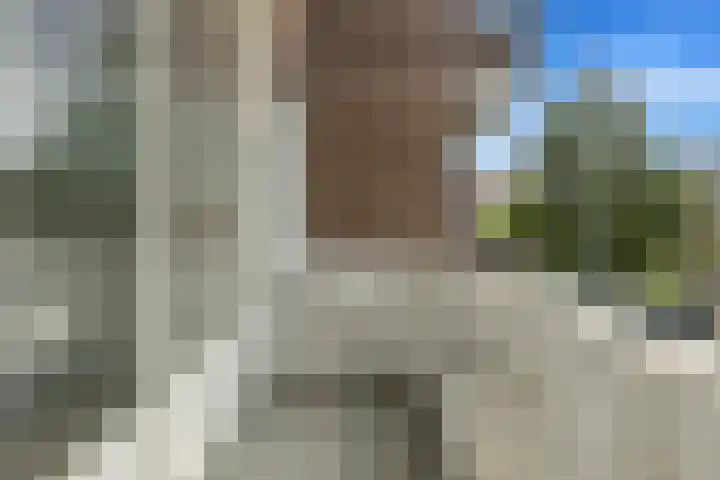 Nunspeetlaan 107 Den Haag thumbnail 24