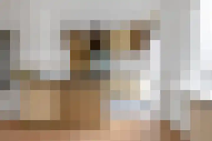 Nunspeetlaan 107 Den Haag thumbnail 4