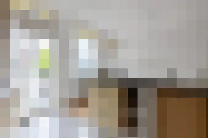 Nunspeetlaan 107 Den Haag thumbnail 6