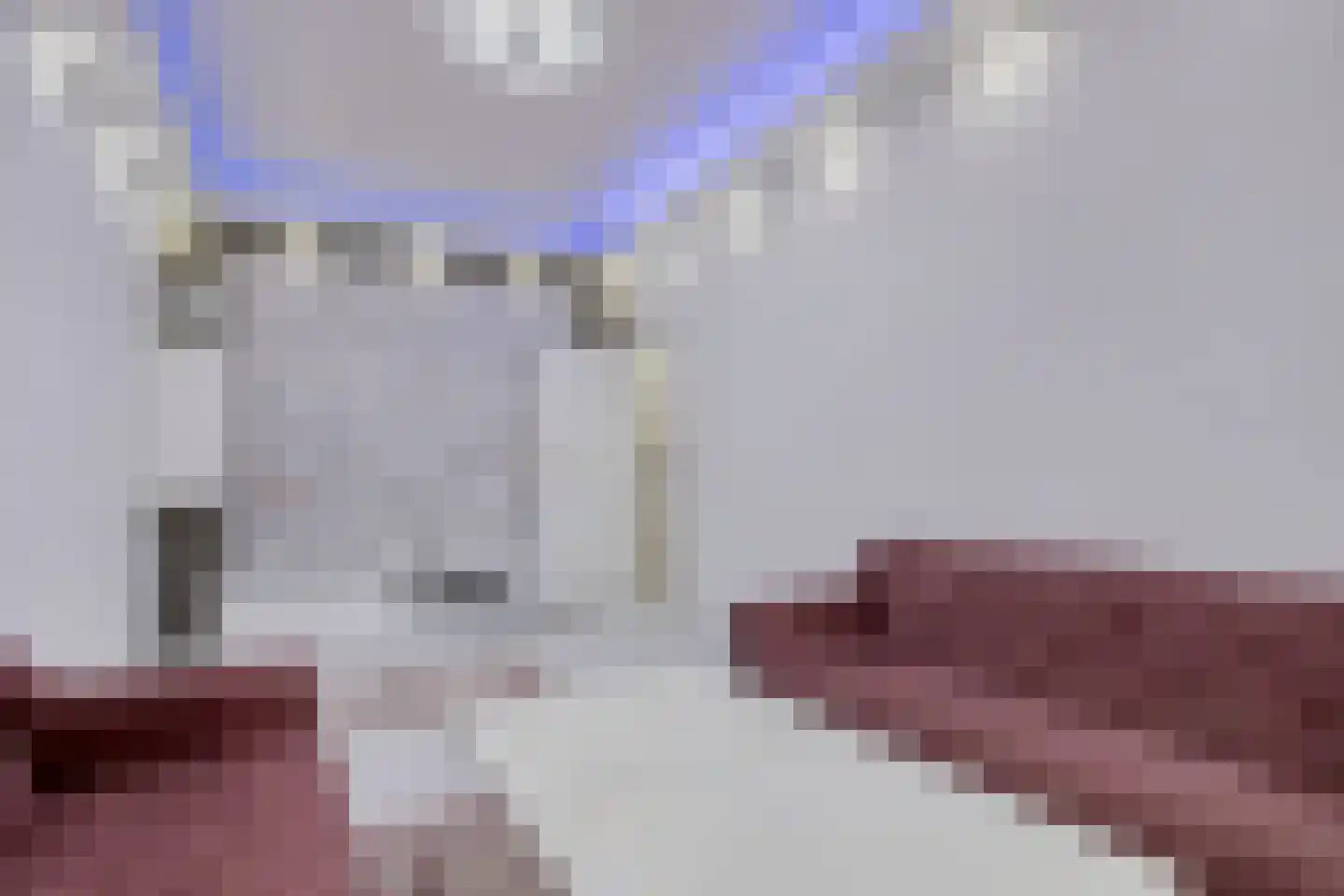 Nunspeetlaan 11 Den Haag