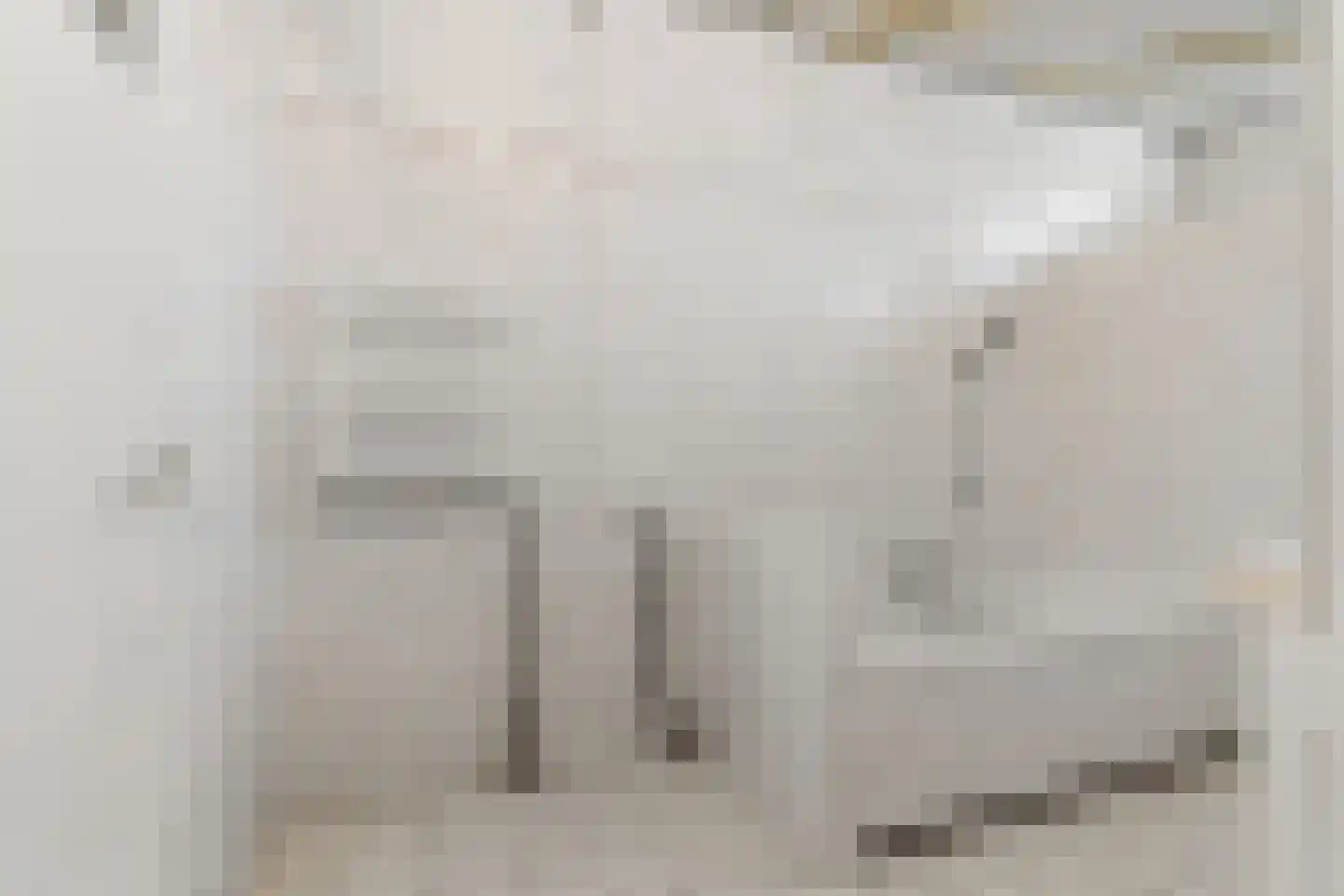 Nunspeetlaan 141 Den Haag thumbnail 18