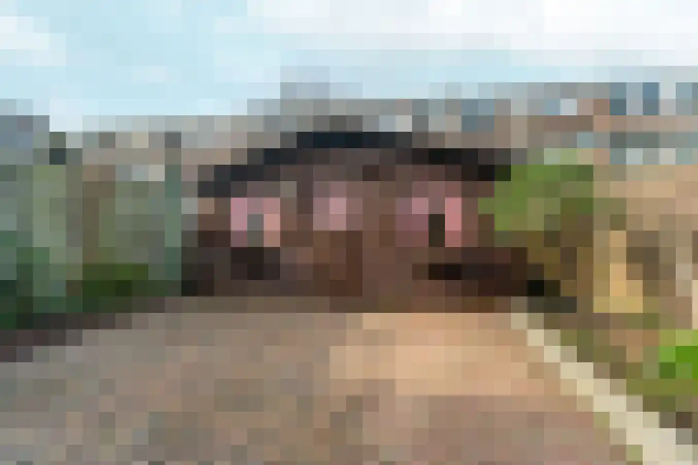 Nunspeetlaan 141 Den Haag thumbnail 31