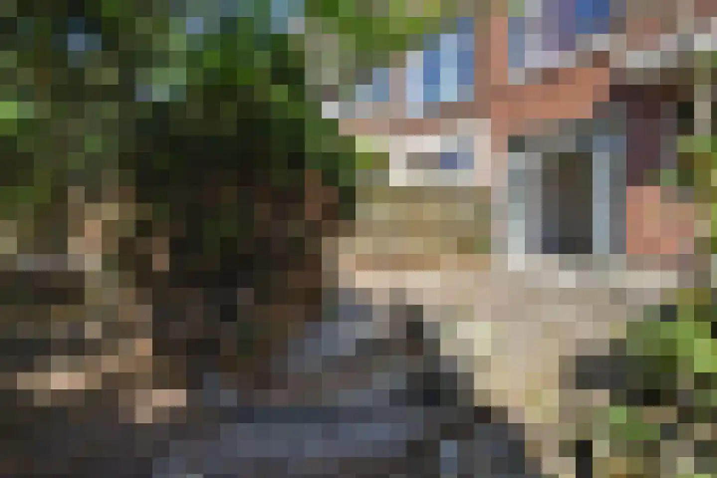 Nunspeetlaan 193 Den Haag thumbnail 15