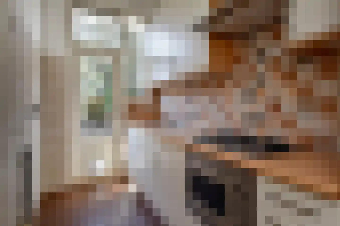 Nunspeetlaan 193 Den Haag thumbnail 20