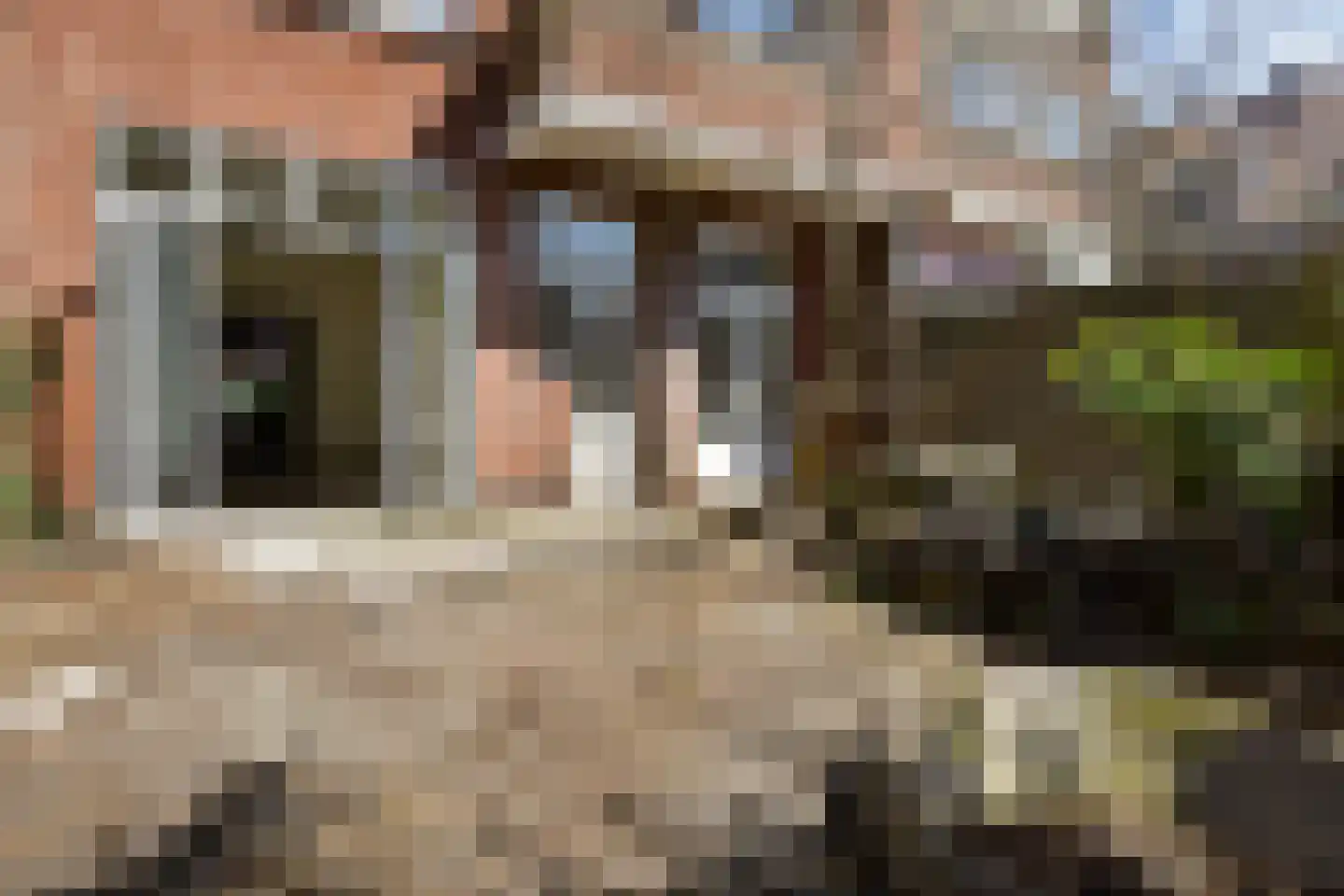 Nunspeetlaan 193 Den Haag thumbnail 4