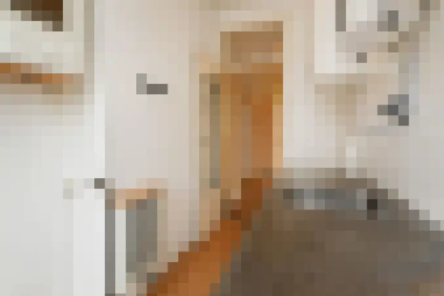 Nunspeetlaan 237 Den Haag thumbnail 12