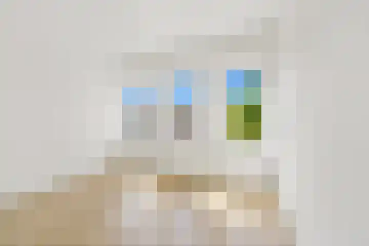 Nunspeetlaan 24 Den Haag thumbnail 19